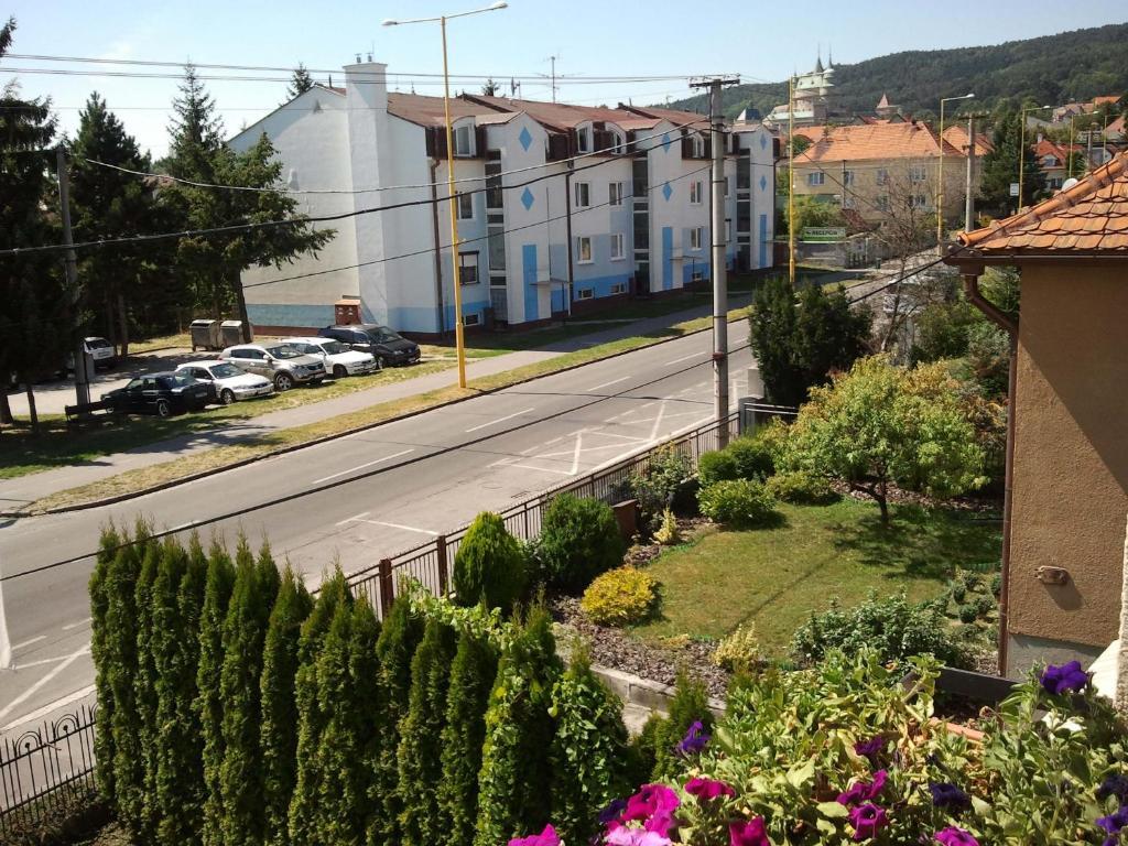 Penzion Bojnice Δωμάτιο φωτογραφία